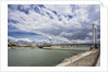 The river Danube, the Elisabeth Bridge, the town of Pest by Anonymous