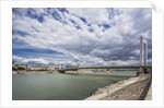 The river Danube, the Elisabeth Bridge, the town of Pest by Anonymous