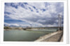 The river Danube, the Elisabeth Bridge, the town of Pest by Anonymous