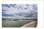 The river Danube, the Elisabeth Bridge, the town of Pest by Anonymous