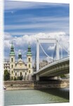 The Elisabeth Bridge, the Inner-City Parish Church (Belvarosi Plebania Templom) and the river Danube by Anonymous