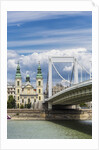 The Elisabeth Bridge, the Inner-City Parish Church (Belvarosi Plebania Templom) and the river Danube by Anonymous