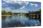 Pest, Varosliget (City ParK), the lake by Anonymous