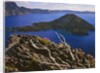 Penstemon blooms on cliff overlooking Wizard Island by Anonymous