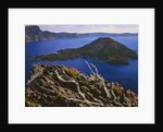 Penstemon blooms on cliff overlooking Wizard Island by Anonymous