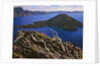 Penstemon blooms on cliff overlooking Wizard Island by Anonymous