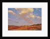 Painted Hills National Monument by Anonymous