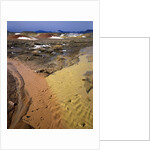 Painted Hills National Monument by Anonymous