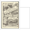 Paysandu ox tongue, 1890s. by Anonymous