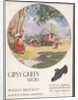 Gipsy Queen Shoes, c1920s. Artist: Wilfred Fryer by Anonymous