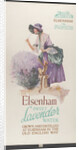 Elsenham Lavender, 1920s. Artist: Wilfred Fryer by Anonymous