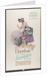 Elsenham Lavender, 1920s. Artist: Wilfred Fryer by Anonymous