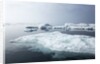 Melting Sea Ice, Repulse Bay, Nunavut Territory, Canada by Anonymous