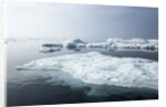 Melting Sea Ice, Repulse Bay, Nunavut Territory, Canada by Anonymous