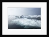 Melting Sea Ice, Repulse Bay, Nunavut Territory, Canada by Anonymous