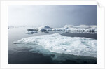 Melting Sea Ice, Repulse Bay, Nunavut Territory, Canada by Anonymous