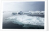 Melting Sea Ice, Repulse Bay, Nunavut Territory, Canada by Anonymous