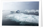 Melting Sea Ice, Repulse Bay, Nunavut Territory, Canada by Anonymous