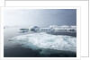 Melting Sea Ice, Repulse Bay, Nunavut Territory, Canada by Anonymous
