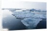 Melting Sea Ice, Repulse Bay, Nunavut Territory, Canada by Anonymous