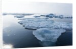 Melting Sea Ice, Repulse Bay, Nunavut Territory, Canada by Anonymous