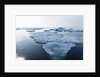 Melting Sea Ice, Repulse Bay, Nunavut Territory, Canada by Anonymous