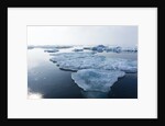Melting Sea Ice, Repulse Bay, Nunavut Territory, Canada by Anonymous