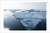 Melting Sea Ice, Repulse Bay, Nunavut Territory, Canada by Anonymous