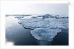 Melting Sea Ice, Repulse Bay, Nunavut Territory, Canada by Anonymous