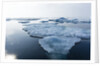 Melting Sea Ice, Repulse Bay, Nunavut Territory, Canada by Anonymous