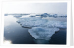Melting Sea Ice, Repulse Bay, Nunavut Territory, Canada by Anonymous