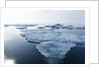 Melting Sea Ice, Repulse Bay, Nunavut Territory, Canada by Anonymous