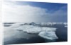 Melting Sea Ice, Repulse Bay, Nunavut Territory, Canada by Anonymous