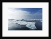 Melting Sea Ice, Repulse Bay, Nunavut Territory, Canada by Anonymous