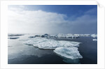 Melting Sea Ice, Repulse Bay, Nunavut Territory, Canada by Anonymous