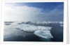 Melting Sea Ice, Repulse Bay, Nunavut Territory, Canada by Anonymous