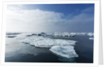 Melting Sea Ice, Repulse Bay, Nunavut Territory, Canada by Anonymous
