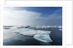 Melting Sea Ice, Repulse Bay, Nunavut Territory, Canada by Anonymous