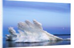Melting Sea Ice, Repulse Bay, Nunavut Territory, Canada by Anonymous