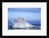 Melting Sea Ice, Repulse Bay, Nunavut Territory, Canada by Anonymous