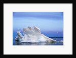 Melting Sea Ice, Repulse Bay, Nunavut Territory, Canada by Anonymous