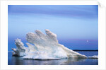 Melting Sea Ice, Repulse Bay, Nunavut Territory, Canada by Anonymous