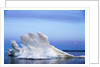 Melting Sea Ice, Repulse Bay, Nunavut Territory, Canada by Anonymous