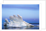 Melting Sea Ice, Repulse Bay, Nunavut Territory, Canada by Anonymous