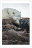 Polar Bear Sleeping along Hudson Bay, Nunavut, Canada by Anonymous