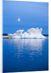 Melting Sea Ice, Repulse Bay, Nunavut Territory, Canada by Anonymous