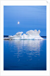 Melting Sea Ice, Repulse Bay, Nunavut Territory, Canada by Anonymous
