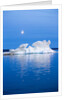 Melting Sea Ice, Repulse Bay, Nunavut Territory, Canada by Anonymous