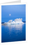Melting Sea Ice, Repulse Bay, Nunavut Territory, Canada by Anonymous