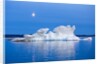 Melting Sea Ice, Repulse Bay, Nunavut Territory, Canada by Anonymous